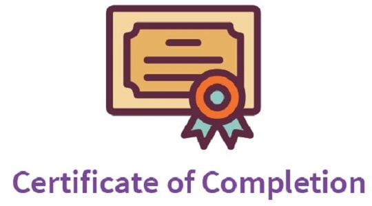 Flutter App Development Course Online | Navoki navoki-course-certificate-of-completion