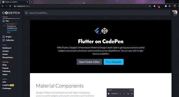 flutter-with-codpen-website